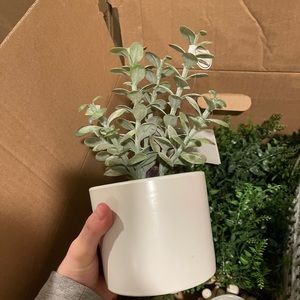 Fake plant college dorm decor